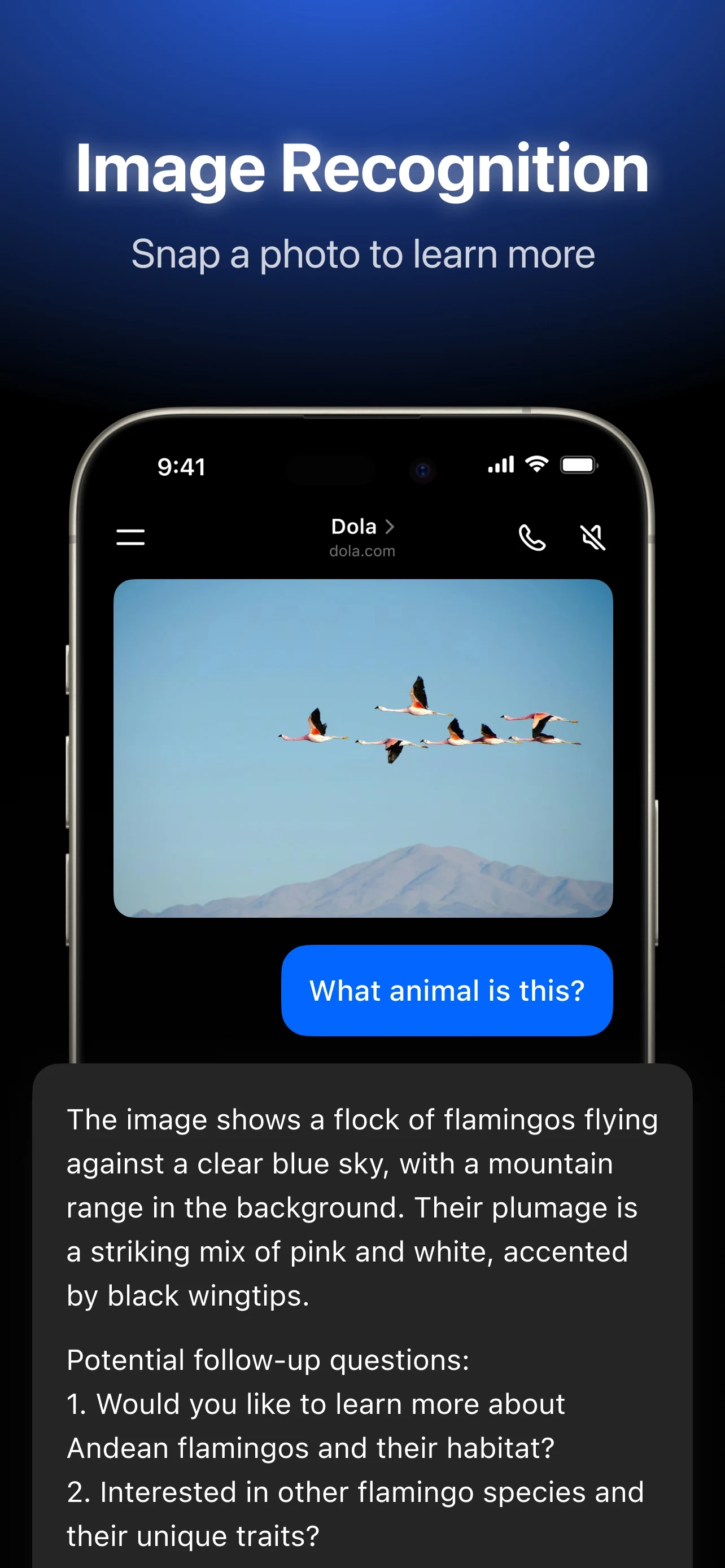 Dola: Smart AI Assistant screenshot